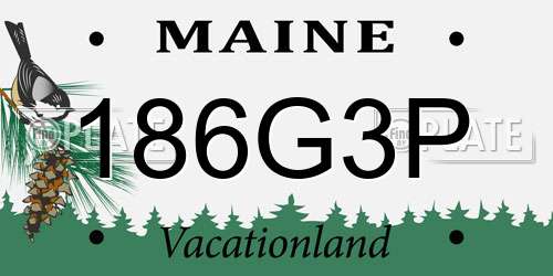 186G3P Maine License Plate