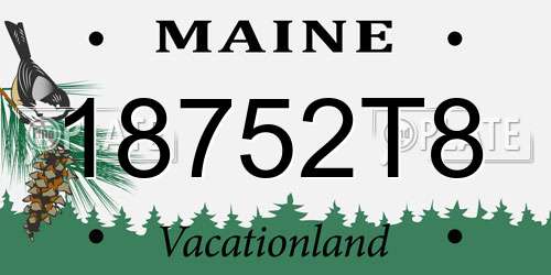 18752T8 Maine License Plate