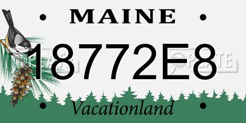 18772E8 Maine License Plate