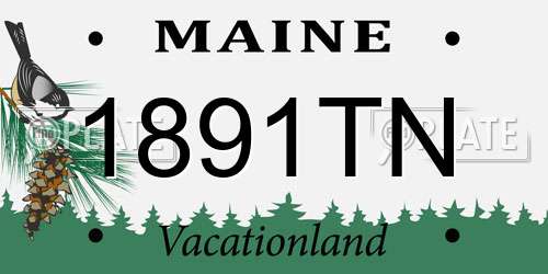 1891TN Maine License Plate