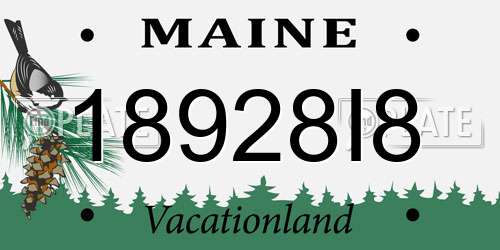 18928I8 Maine License Plate