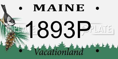 1893P Maine License Plate