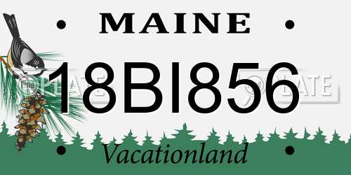 18BI856 Maine License Plate