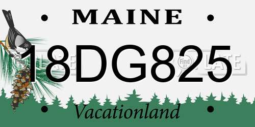 18DG825 Maine License Plate
