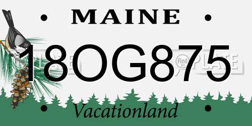 18OG875 Maine License Plate