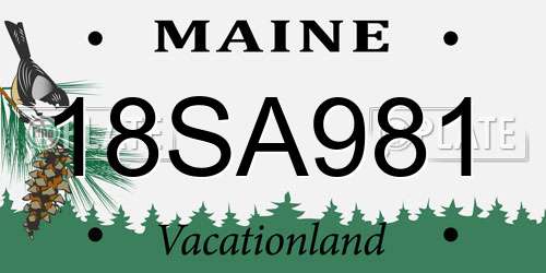 18SA981 Maine License Plate
