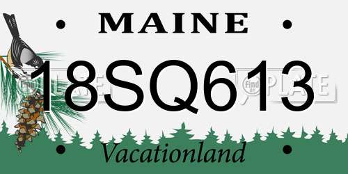18SQ613 Maine License Plate