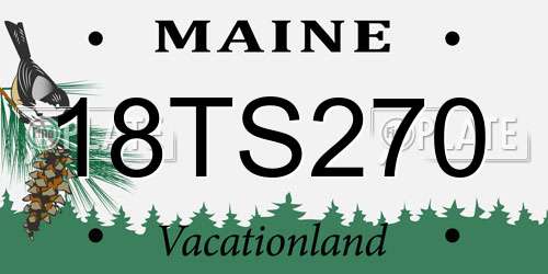 18TS270 Maine License Plate