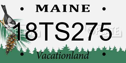 18TS275 Maine License Plate