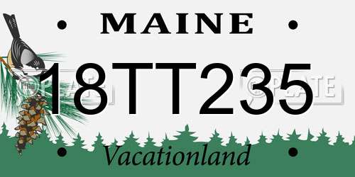 18TT235 Maine License Plate