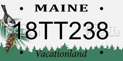 18TT238 Maine License Plate