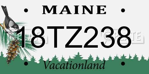 18TZ238 Maine License Plate