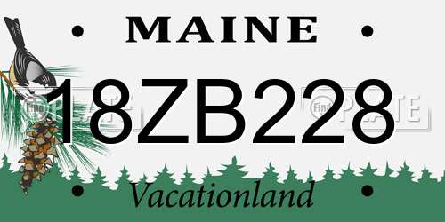 18ZB228 Maine License Plate
