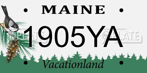1905YA Maine License Plate