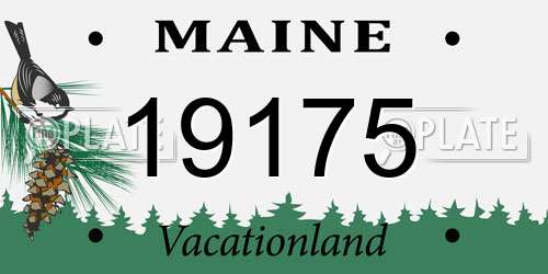 19175 Maine License Plate