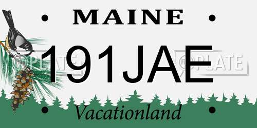 191JAE Maine License Plate