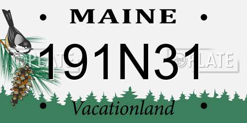 191N31 Maine License Plate