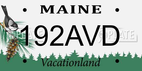 192AVD Maine License Plate