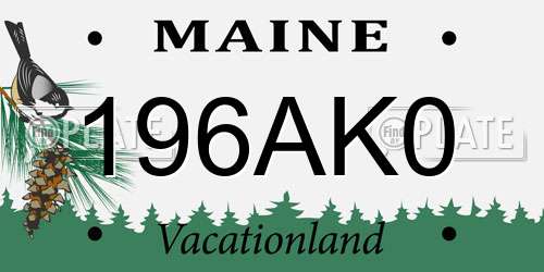 196AK0 Maine License Plate