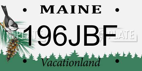 196JBF Maine License Plate