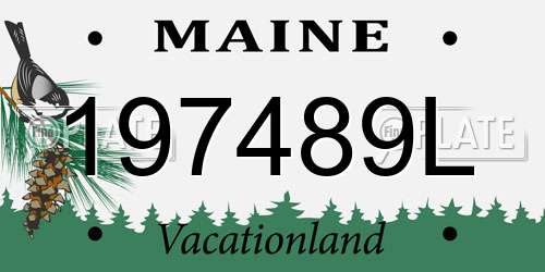 197489L Maine License Plate