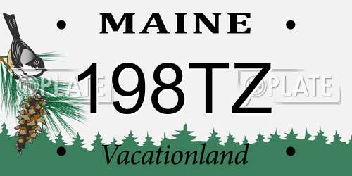 198TZ Maine License Plate