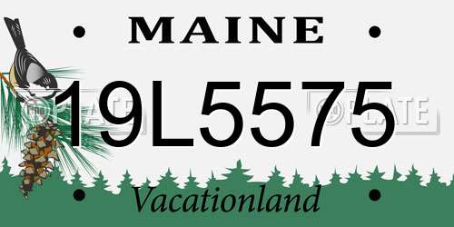 19L5575 Maine License Plate