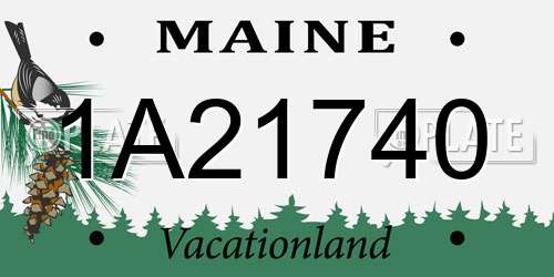 1A21740 Maine License Plate