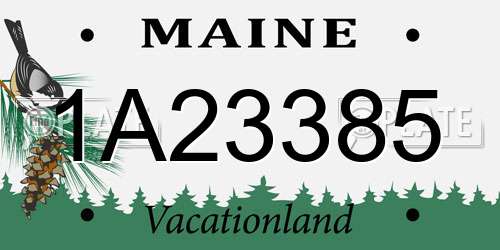 1A23385 Maine License Plate