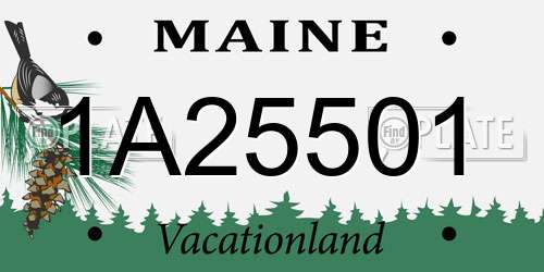 1A25501 Maine License Plate