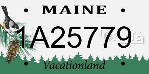 1A25779 Maine License Plate