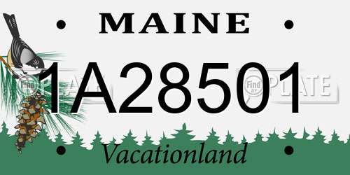 1A28501 Maine License Plate