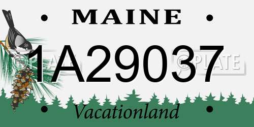 1A29037 Maine License Plate