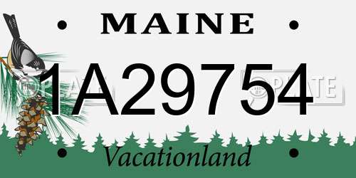 1A29754 Maine License Plate