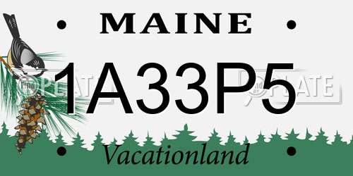 1A33P5 Maine License Plate