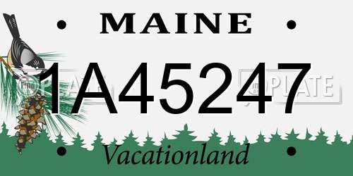 1A45247 Maine License Plate