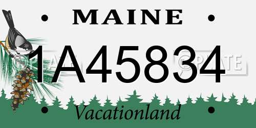 1A45834 Maine License Plate