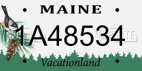 1A48534 Maine License Plate