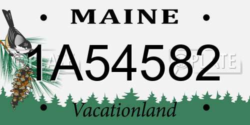 1A54582 Maine License Plate