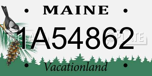 1A54862 Maine License Plate