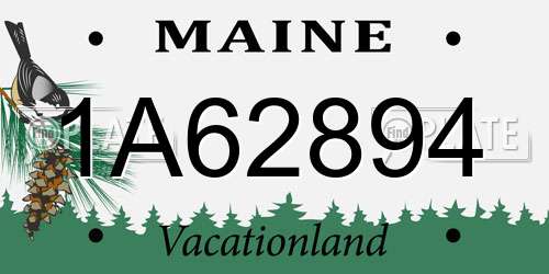 1A62894 Maine License Plate