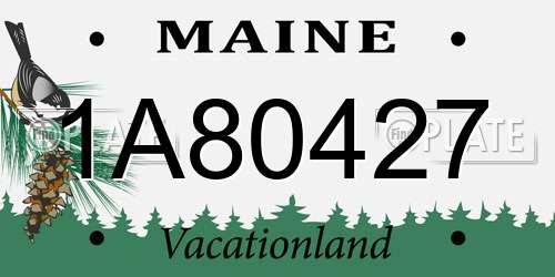 1A80427 Maine License Plate
