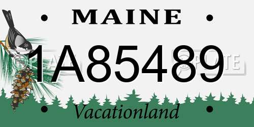 1A85489 Maine License Plate