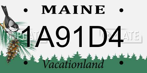 1A91D4 Maine License Plate