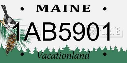 1AB5901 Maine License Plate