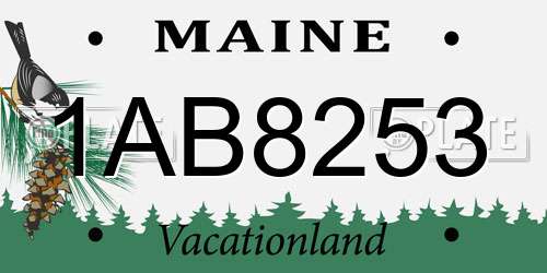 1AB8253 Maine License Plate