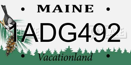 1ADG492 Maine License Plate
