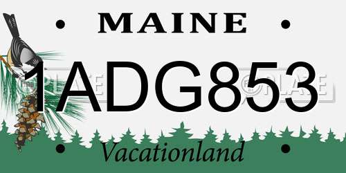 1ADG853 Maine License Plate