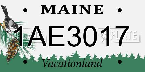 1AE3017 Maine License Plate