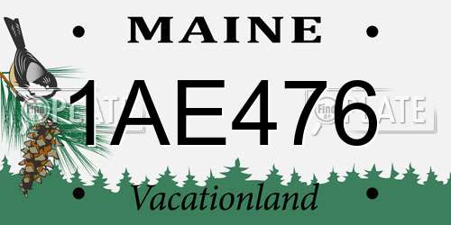1AE476 Maine License Plate